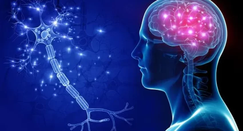 Curso-de-Terapia-Neural-en-Cuernavaca