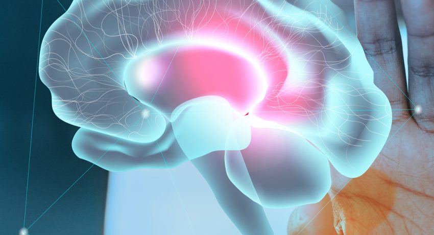 fondo-estudio-cerebro-tecnologia-medica-atencion-salud-mental